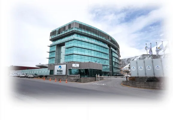 Erciyes Holding